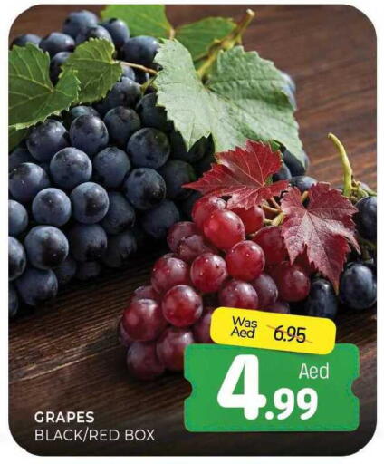Grapes available at المدينة in الإمارات العربية المتحدة , الامارات - الشارقة / عجمان