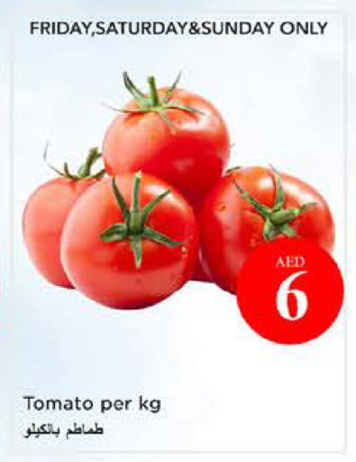 Tomato available at نستو هايبرماركت in الإمارات العربية المتحدة , الامارات - الشارقة / عجمان