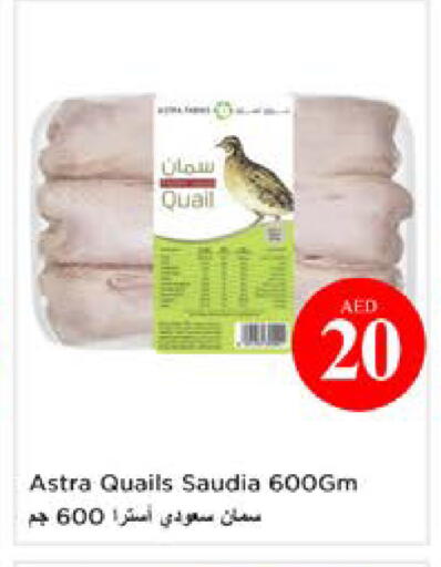 available at نستو هايبرماركت in الإمارات العربية المتحدة , الامارات - الشارقة / عجمان