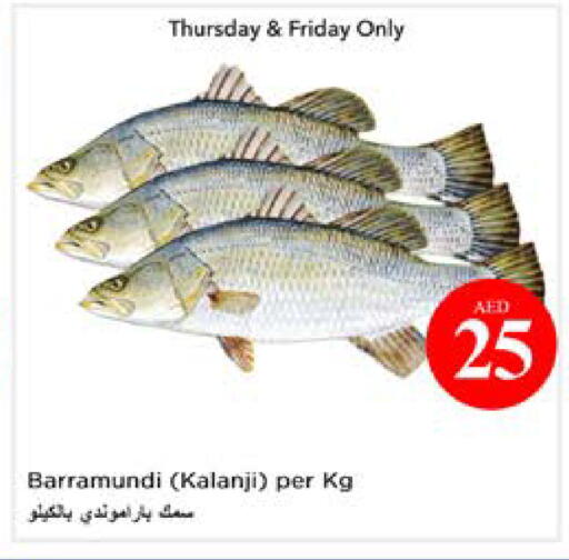 available at نستو هايبرماركت in الإمارات العربية المتحدة , الامارات - أبو ظبي