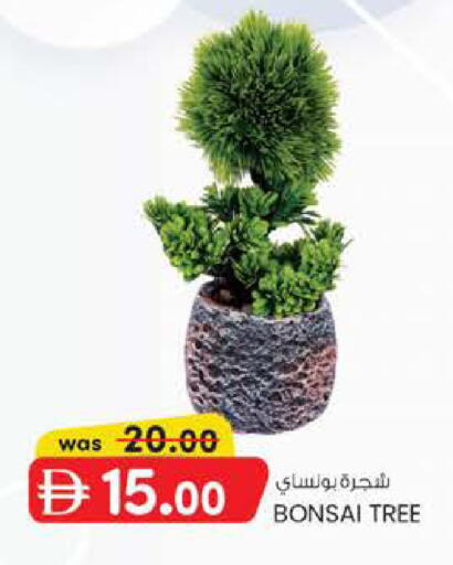 available at ك. الم. للتجارة in الإمارات العربية المتحدة , الامارات - أبو ظبي