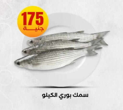 available at المحلاوي ستورز in Egypt - القاهرة