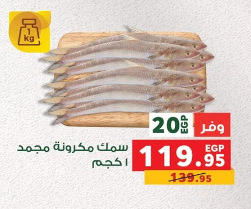 available at Panda  in Egypt - Cairo