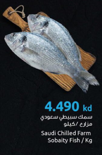 available at مركز سلطان in الكويت - محافظة الجهراء