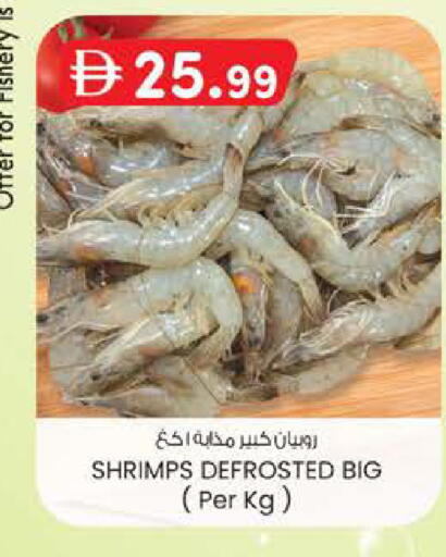 available at Safa Express Supermarket in UAE - Abu Dhabi