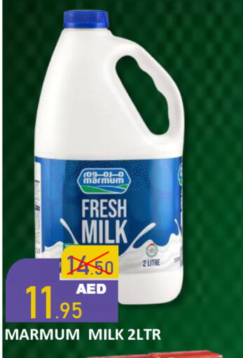 available at رويال جلف هايبرماركت in الإمارات العربية المتحدة , الامارات - أبو ظبي