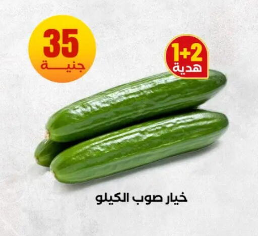 available at المحلاوي ستورز in Egypt - القاهرة