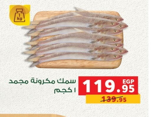 available at Panda  in Egypt - Cairo