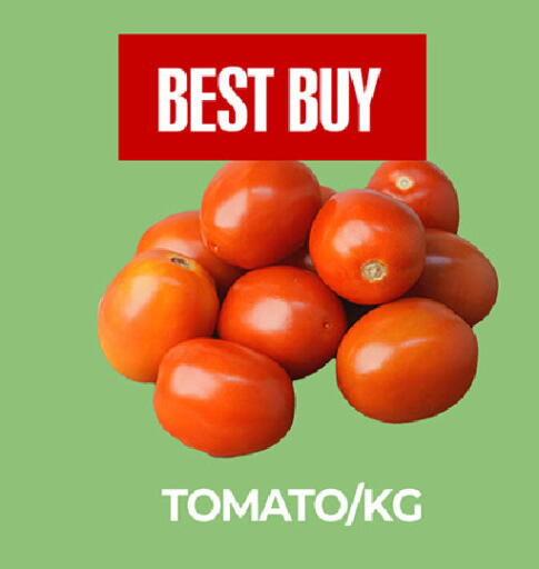 Tomato available at  RIVIERA SUPERMARKET L.L.C in UAE - Abu Dhabi