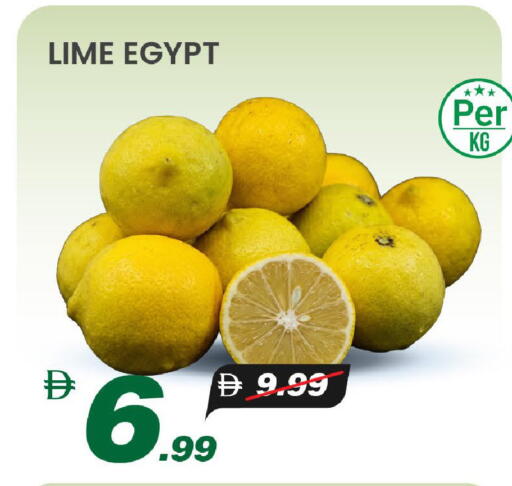 from Egypt available at مارك & سيف in الإمارات العربية المتحدة , الامارات - الشارقة / عجمان