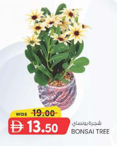 available at ك. الم. للتجارة in الإمارات العربية المتحدة , الامارات - الشارقة / عجمان