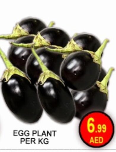 available at جرين جيفت متجر أقسام in الإمارات العربية المتحدة , الامارات - دبي