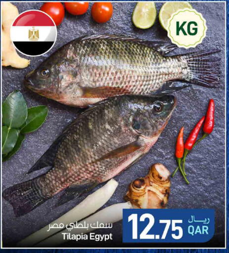 available at ســبــار in قطر - الوكرة