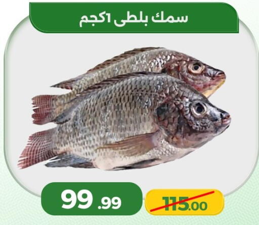 available at Green Tree Hypermarket - Sohag in Egypt - Cairo