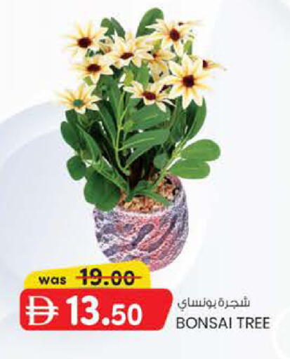 available at صفا اكسبريس سوبرماركت in الإمارات العربية المتحدة , الامارات - ٱلْعَيْن‎