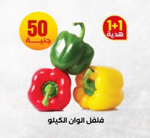 available at المحلاوي ستورز in Egypt - القاهرة