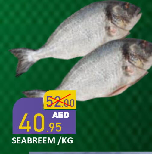 available at رويال جلف هايبرماركت in الإمارات العربية المتحدة , الامارات - أبو ظبي