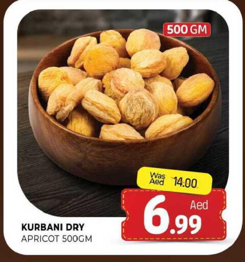 Apricot available at المدينة in الإمارات العربية المتحدة , الامارات - الشارقة / عجمان