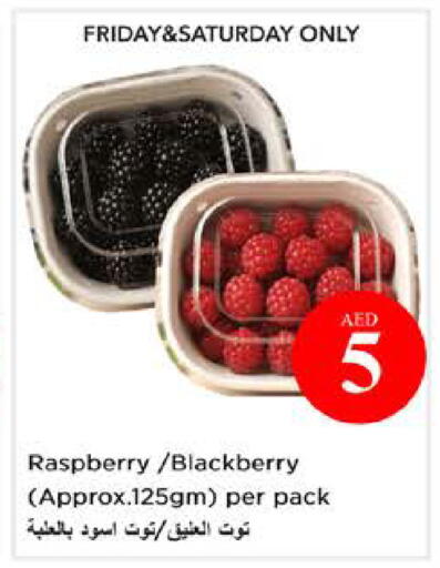 Raspberry Blackberry available at نستو هايبرماركت in الإمارات العربية المتحدة , الامارات - الشارقة / عجمان