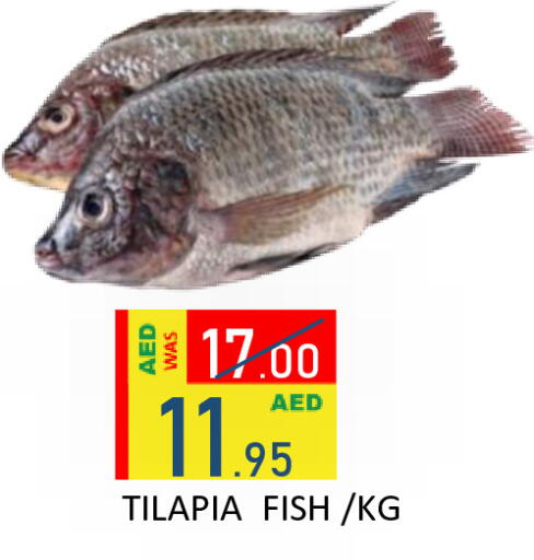 available at رويال جلف هايبرماركت in الإمارات العربية المتحدة , الامارات - أبو ظبي