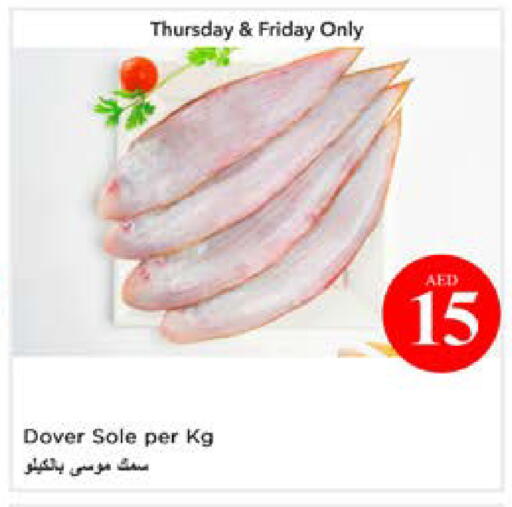 available at نستو هايبرماركت in الإمارات العربية المتحدة , الامارات - أبو ظبي
