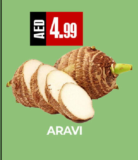 available at  RIVIERA SUPERMARKET L.L.C in UAE - Abu Dhabi