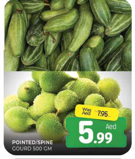 available at المدينة in الإمارات العربية المتحدة , الامارات - الشارقة / عجمان
