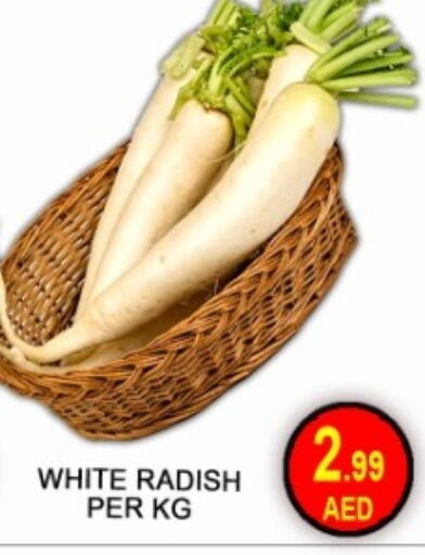 Radish available at جرين جيفت متجر أقسام in الإمارات العربية المتحدة , الامارات - دبي