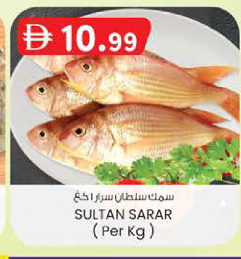 available at ك. الم. للتجارة in الإمارات العربية المتحدة , الامارات - دبي
