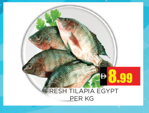 available at Ainas Al madina hypermarket in UAE - Sharjah / Ajman