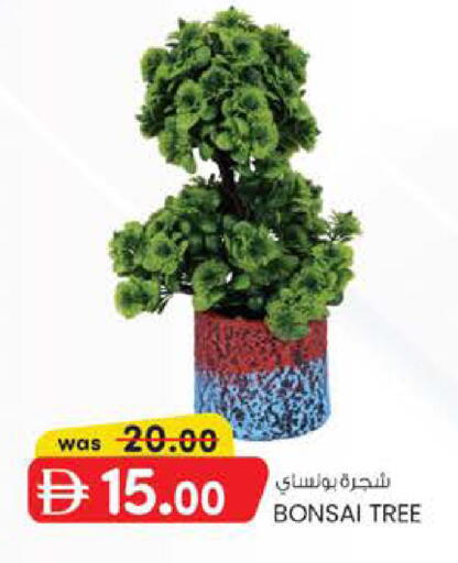 available at ك. الم. للتجارة in الإمارات العربية المتحدة , الامارات - أبو ظبي