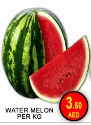 Melon available at جرين جيفت متجر أقسام in الإمارات العربية المتحدة , الامارات - دبي