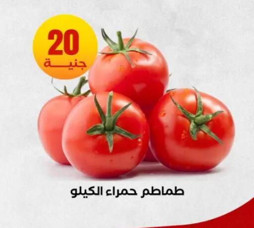 available at المحلاوي ستورز in Egypt - القاهرة