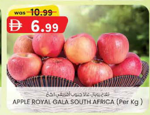Apple from South Africa available at Safa Express Supermarket in UAE - Abu Dhabi