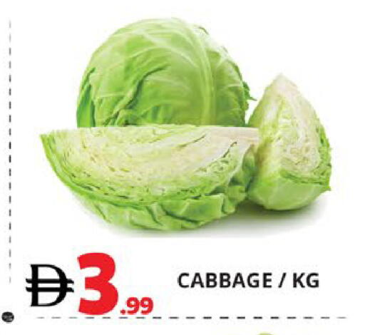 Cabbage available at اكسبرس المدينة هايبرماركت in الإمارات العربية المتحدة , الامارات - أبو ظبي