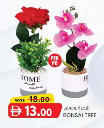 available at ك. الم. للتجارة in الإمارات العربية المتحدة , الامارات - دبي