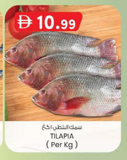 available at ك. الم. للتجارة in الإمارات العربية المتحدة , الامارات - أبو ظبي
