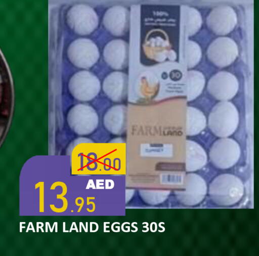 available at رويال جلف هايبرماركت in الإمارات العربية المتحدة , الامارات - أبو ظبي