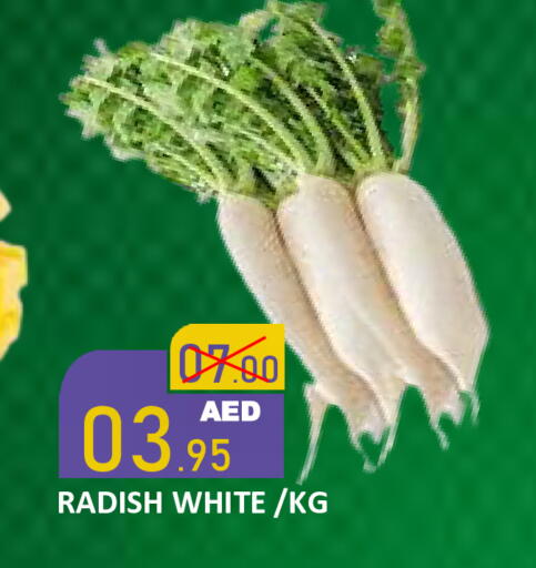 Radish available at رويال جلف هايبرماركت in الإمارات العربية المتحدة , الامارات - أبو ظبي