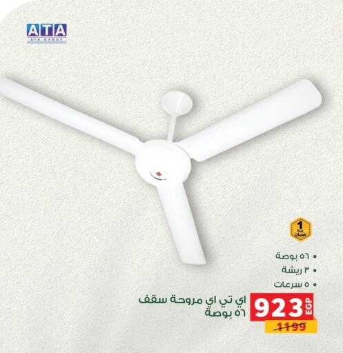 available at Panda  in Egypt - Cairo