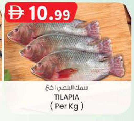 available at صفا هايبر in الإمارات العربية المتحدة , الامارات - ٱلْعَيْن‎