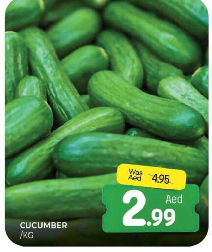 Cucumber available at المدينة in الإمارات العربية المتحدة , الامارات - الشارقة / عجمان