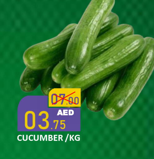 Cucumber available at رويال جلف هايبرماركت in الإمارات العربية المتحدة , الامارات - أبو ظبي