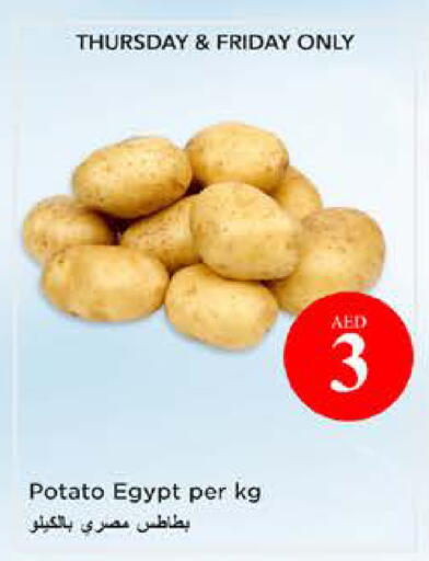 Potato from Egypt available at نستو هايبرماركت in الإمارات العربية المتحدة , الامارات - الشارقة / عجمان