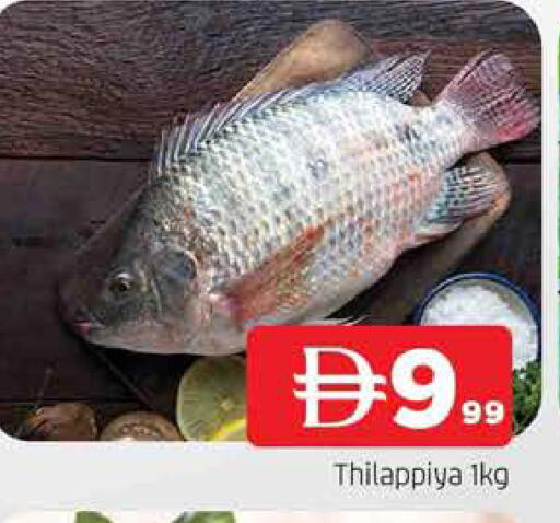 available at المدينة in الإمارات العربية المتحدة , الامارات - الشارقة / عجمان