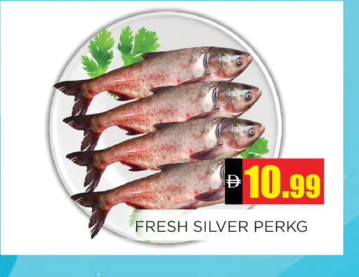 available at Ainas Al madina hypermarket in UAE - Sharjah / Ajman