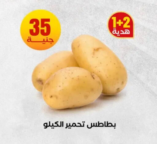 available at المحلاوي ستورز in Egypt - القاهرة