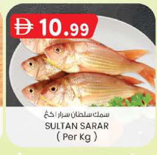 available at صفا اكسبريس سوبرماركت in الإمارات العربية المتحدة , الامارات - ٱلْعَيْن‎