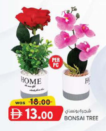 available at ك. الم. للتجارة in الإمارات العربية المتحدة , الامارات - أبو ظبي