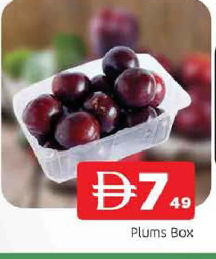 Plums available at المدينة in الإمارات العربية المتحدة , الامارات - الشارقة / عجمان